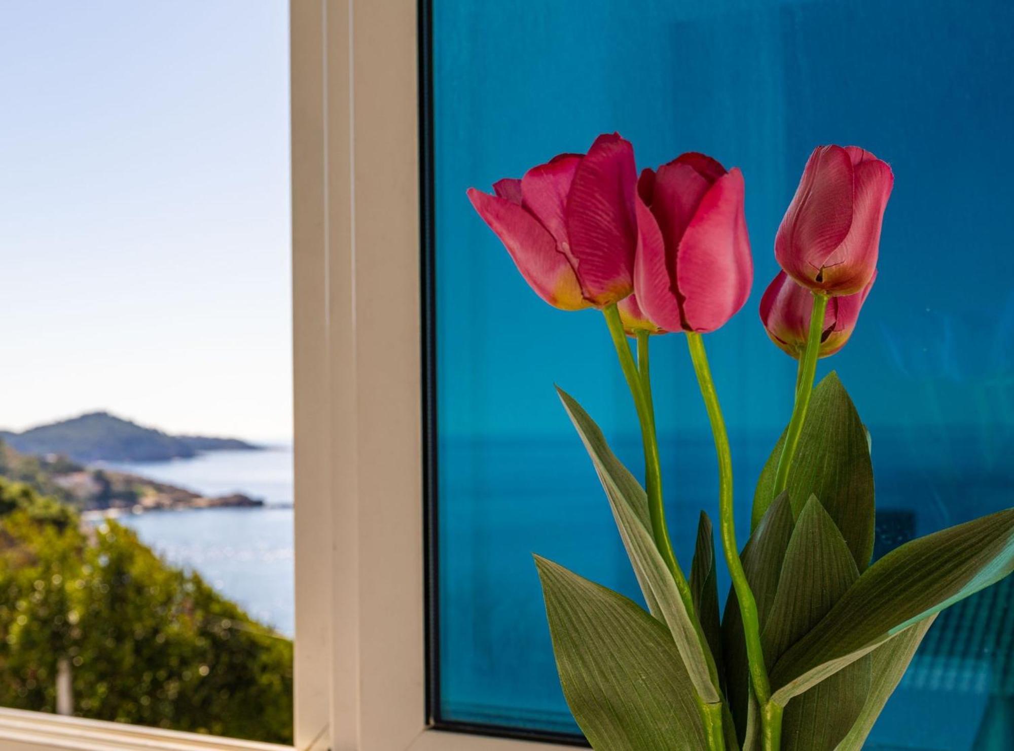 Apartma Butterfly Dubrovnik